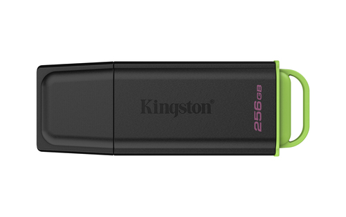 Kingston Technology DataTraveler 256GB Portable USB 3.2 Gen 1 Exodia Black/Green