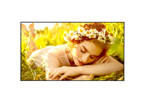 LG 65UL5Q-M Signage Display Digital signage flat panel 165.1 cm (65") LED Wi-Fi 500 cd/m² 4K Ultra HD Black WebOS 24/7